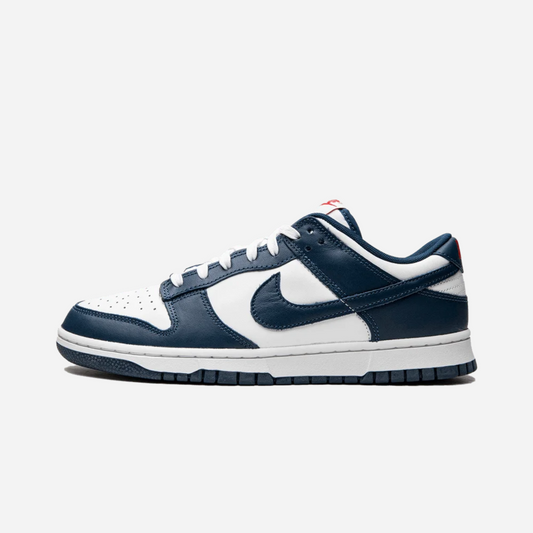 Nike Dunk Low Valerian Blue