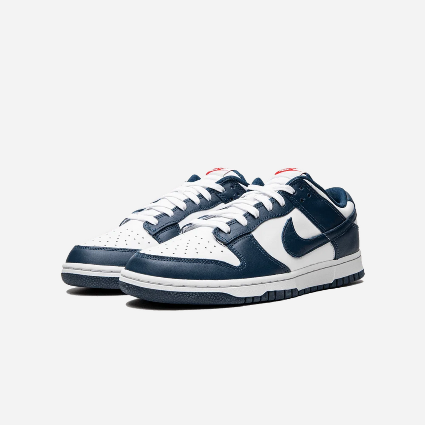 Nike Dunk Low Valerian Blue