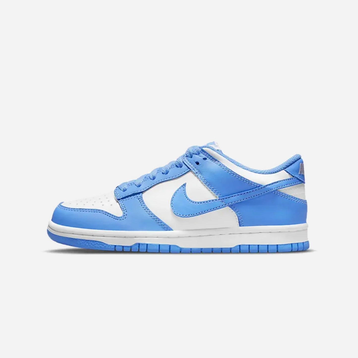 Nike Dunk Low UNC (GS)